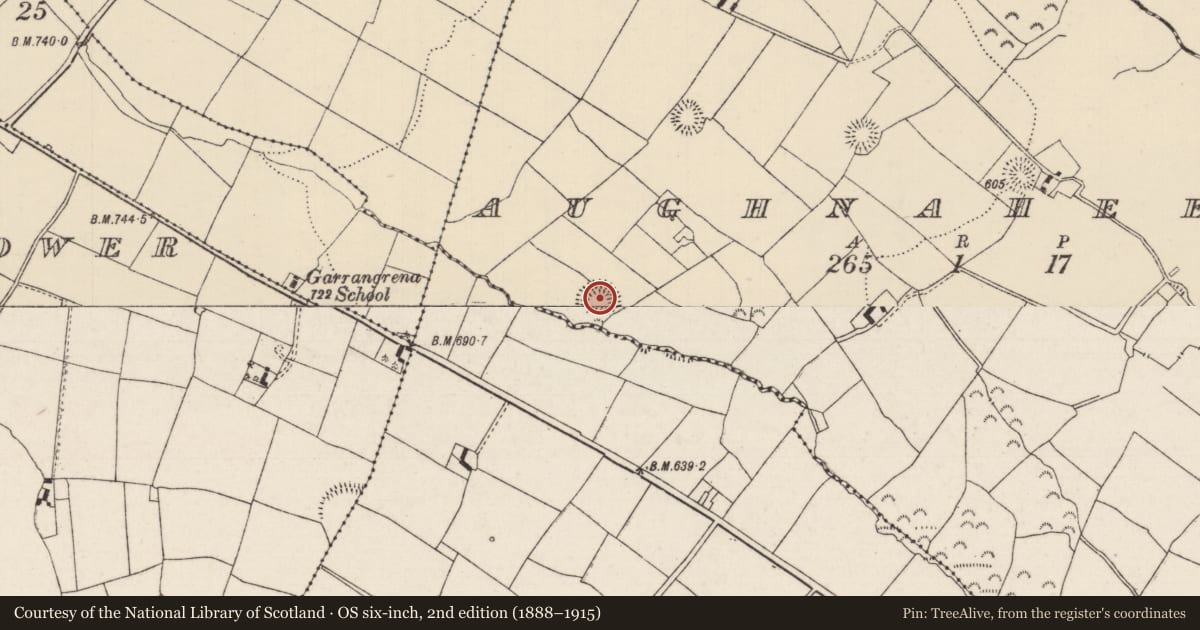 Ordnance Survey six-inch map, 2nd edition (1888–1915) covering the location of Ringfort - rath, Aughnaheela, County Tipperary North, with a pin at the register's coordinates