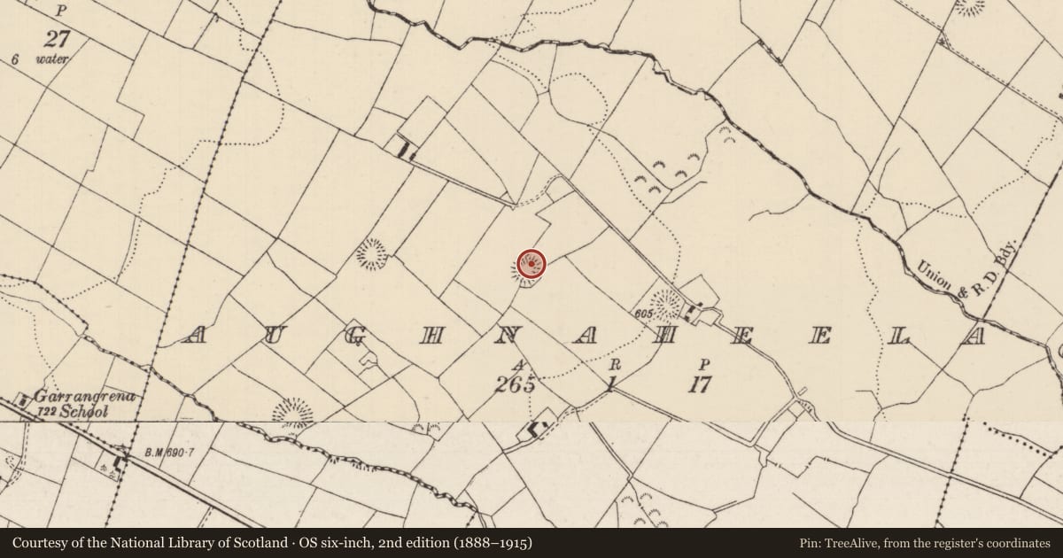 Ordnance Survey six-inch map, 2nd edition (1888–1915) covering the location of Ringfort - rath, Aughnaheela, County Tipperary North, with a pin at the register's coordinates