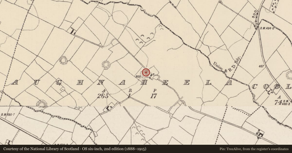 Ordnance Survey six-inch map, 2nd edition (1888–1915) covering the location of Ringfort - rath, Aughnaheela, County Tipperary North, with a pin at the register's coordinates