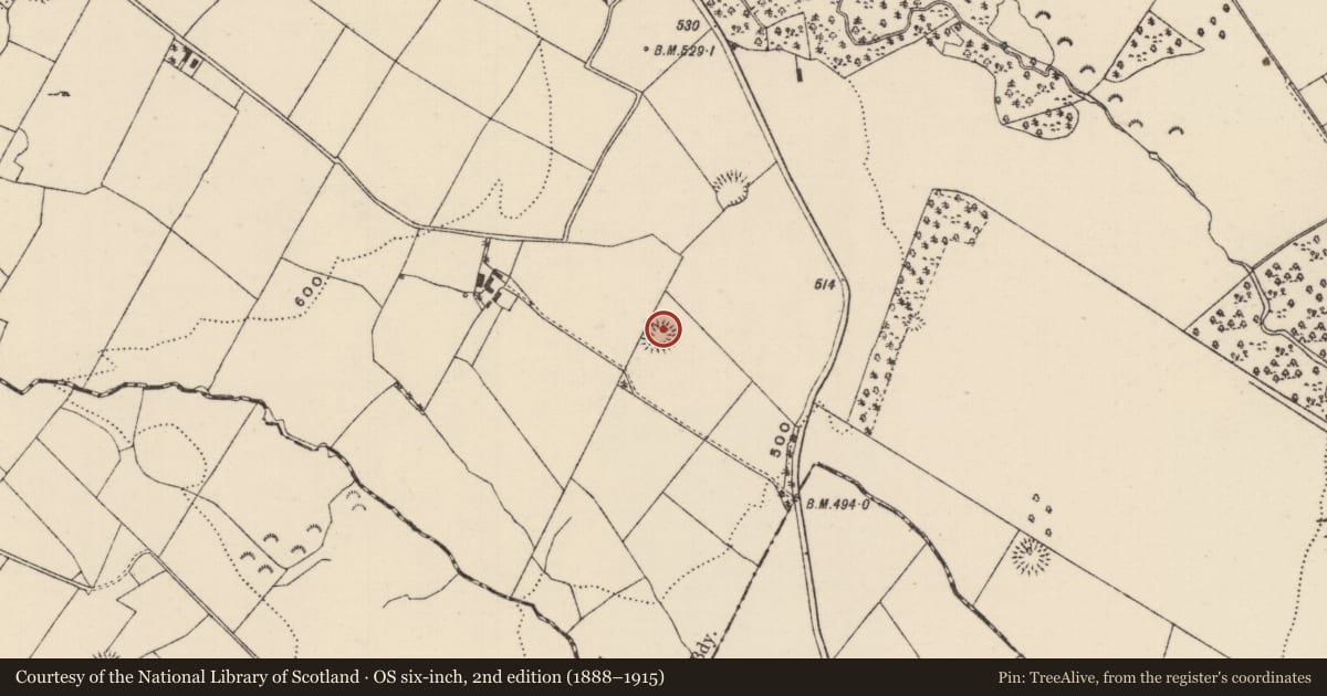 Ordnance Survey six-inch map, 2nd edition (1888–1915) covering the location of Ringfort - rath, Killoskehan, County Tipperary North, with a pin at the register's coordinates