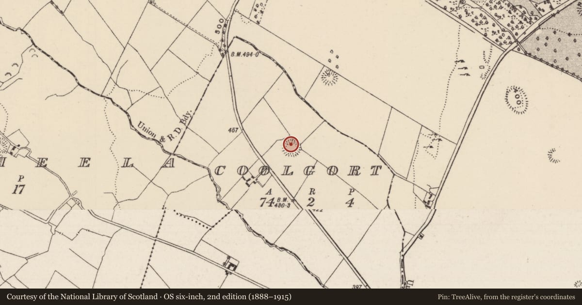 Ordnance Survey six-inch map, 2nd edition (1888–1915) covering the location of Ringfort - rath, Coolgort (Kilfithmone Par.), County Tipperary North, with a pin at the register's coordinates