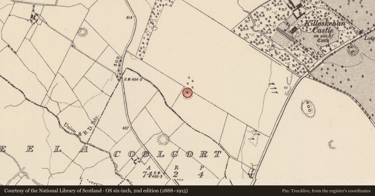 Ordnance Survey six-inch map, 2nd edition (1888–1915) covering the location of Ringfort - rath, Killoskehan, County Tipperary North, with a pin at the register's coordinates
