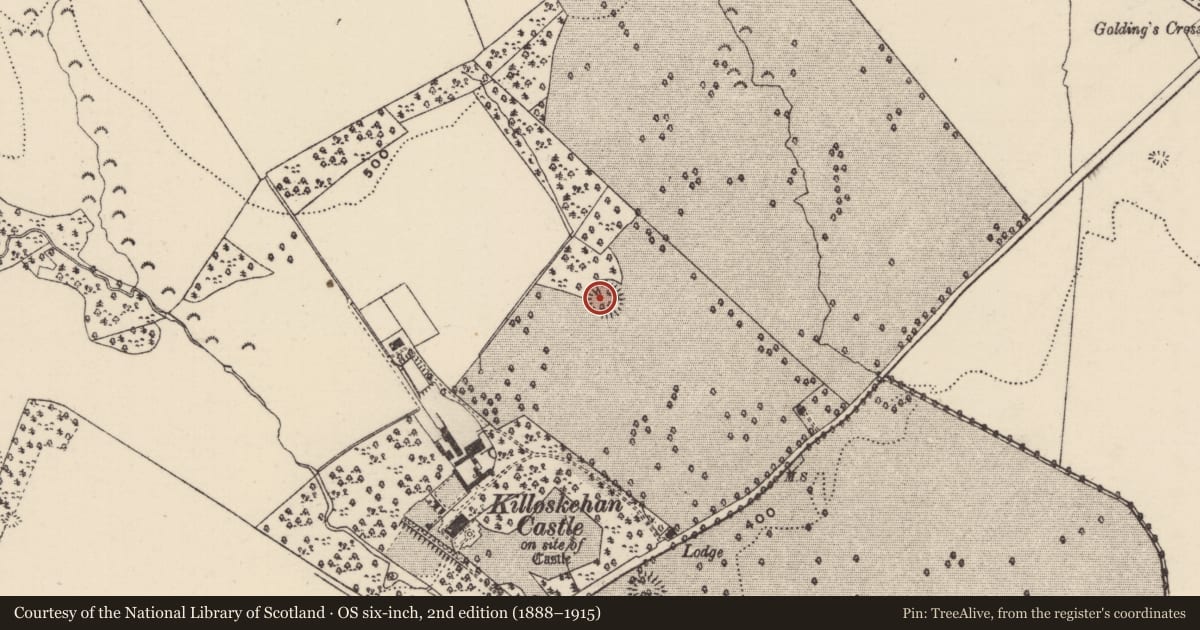 Ordnance Survey six-inch map, 2nd edition (1888–1915) covering the location of Ringfort - rath, Killoskehan, County Tipperary North, with a pin at the register's coordinates