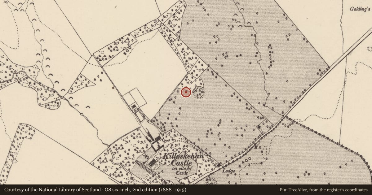 Ordnance Survey six-inch map, 2nd edition (1888–1915) covering the location of Earthwork, Killoskehan, County Tipperary North, with a pin at the register's coordinates