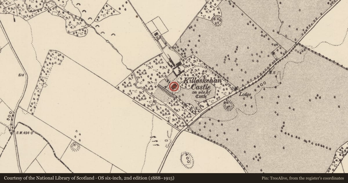 Ordnance Survey six-inch map, 2nd edition (1888–1915) covering the location of Castle - tower house, Killoskehan, County Tipperary North, with a pin at the register's coordinates