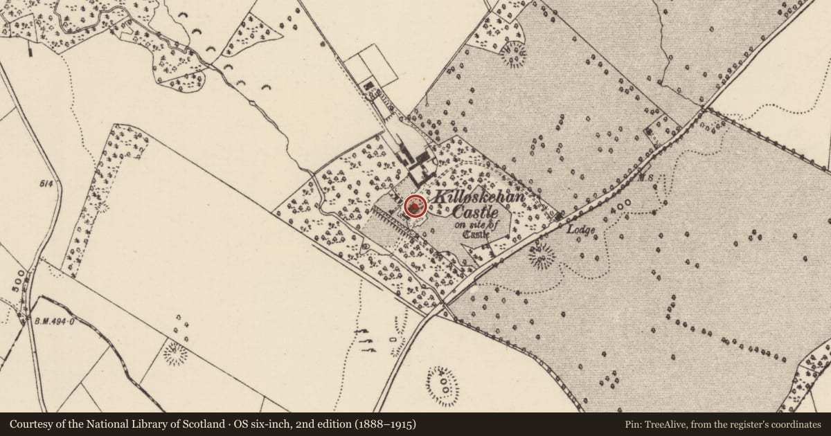 Ordnance Survey six-inch map, 2nd edition (1888–1915) covering the location of House - indeterminate date, Killoskehan, County Tipperary North, with a pin at the register's coordinates