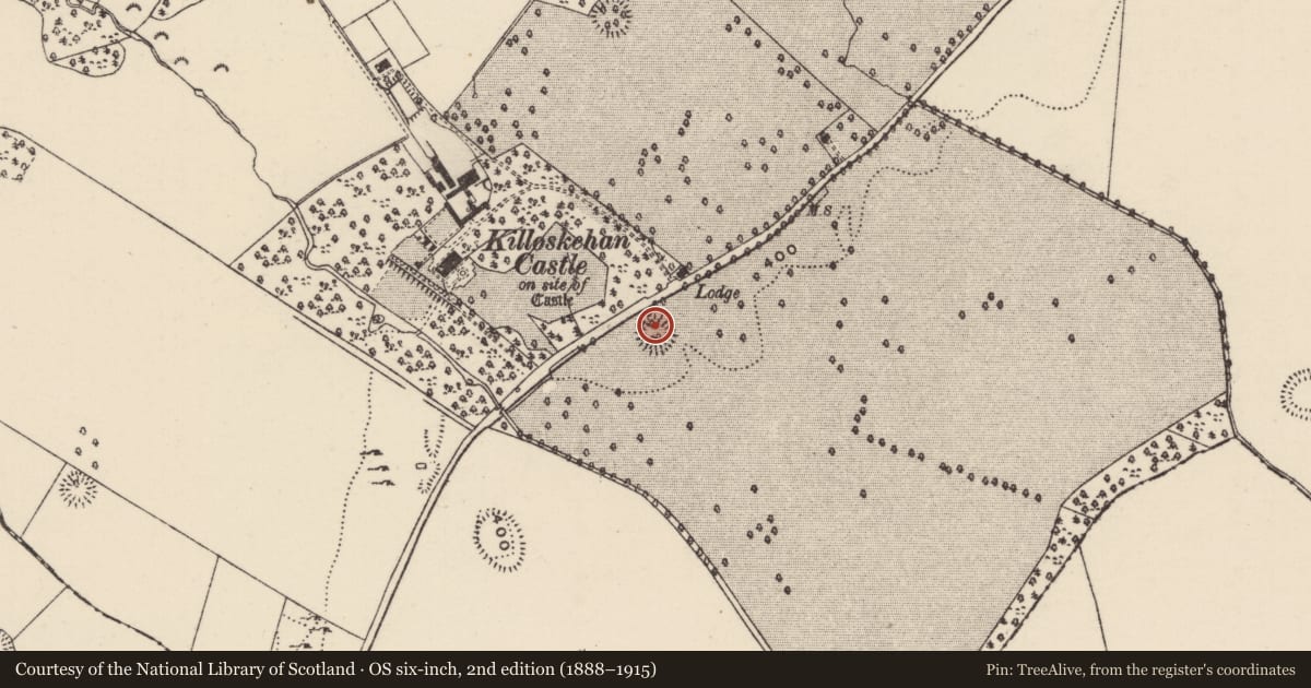 Ordnance Survey six-inch map, 2nd edition (1888–1915) covering the location of Enclosure, Killoskehan, County Tipperary North, with a pin at the register's coordinates