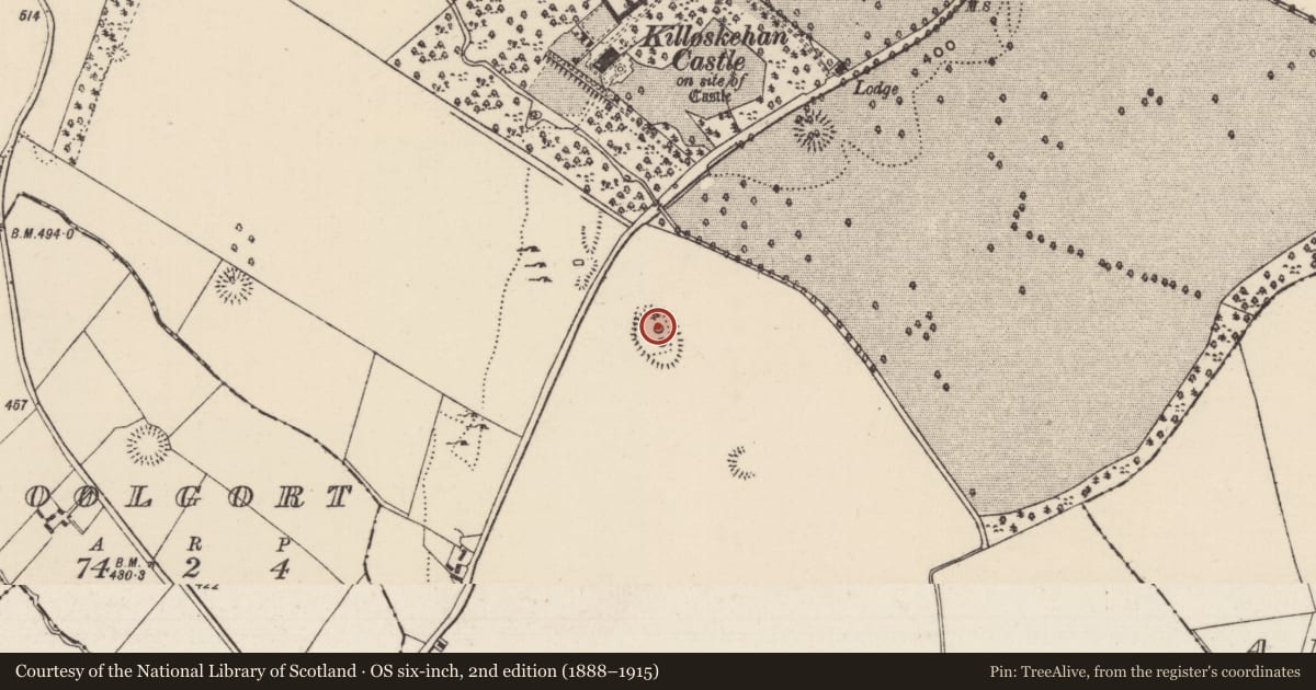 Ordnance Survey six-inch map, 2nd edition (1888–1915) covering the location of Mound, Killoskehan, County Tipperary North, with a pin at the register's coordinates
