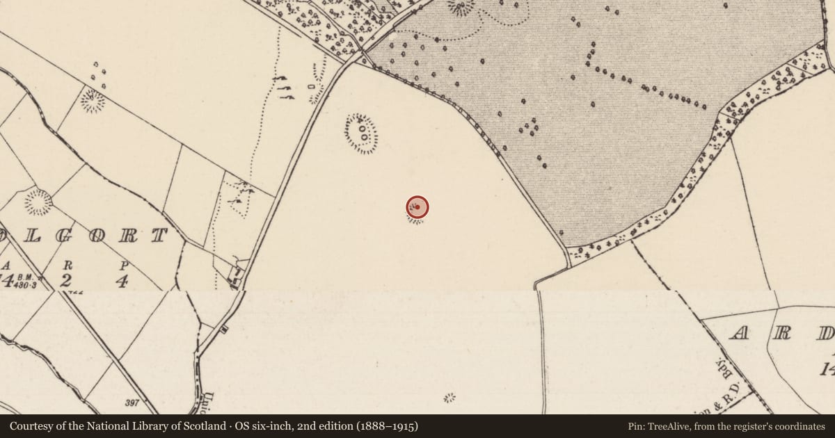 Ordnance Survey six-inch map, 2nd edition (1888–1915) covering the location of Earthwork, Killoskehan, County Tipperary North, with a pin at the register's coordinates