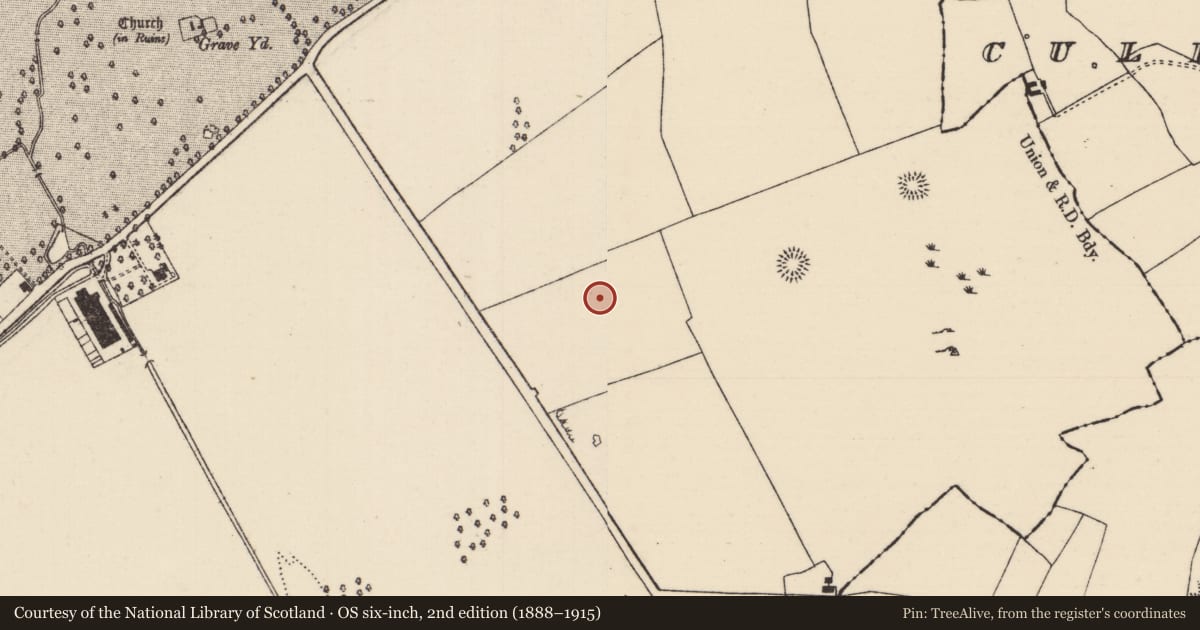 Ordnance Survey six-inch map, 2nd edition (1888–1915) covering the location of Earthwork, Barnane (Barnane-ely Par.), County Tipperary North, with a pin at the register's coordinates