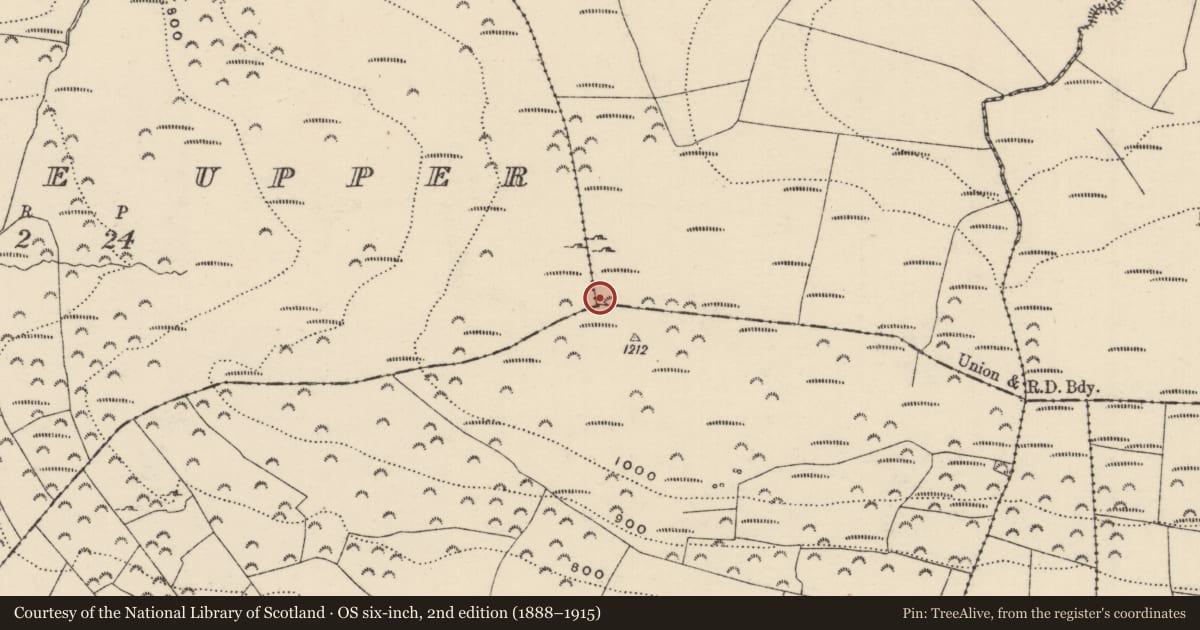 Ordnance Survey six-inch map, 2nd edition (1888–1915) covering the location of Cross, County Tipperary North, with a pin at the register's coordinates
