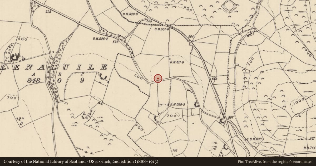 Ordnance Survey six-inch map, 2nd edition (1888–1915) covering the location of Burial ground, Curraheen (Aghnameadle Par.), County Tipperary North, with a pin at the register's coordinates