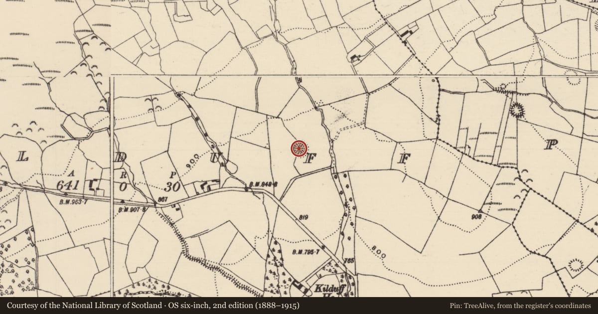 Ordnance Survey six-inch map, 2nd edition (1888–1915) covering the location of Ringfort - rath, Kilduff, County Tipperary North, with a pin at the register's coordinates