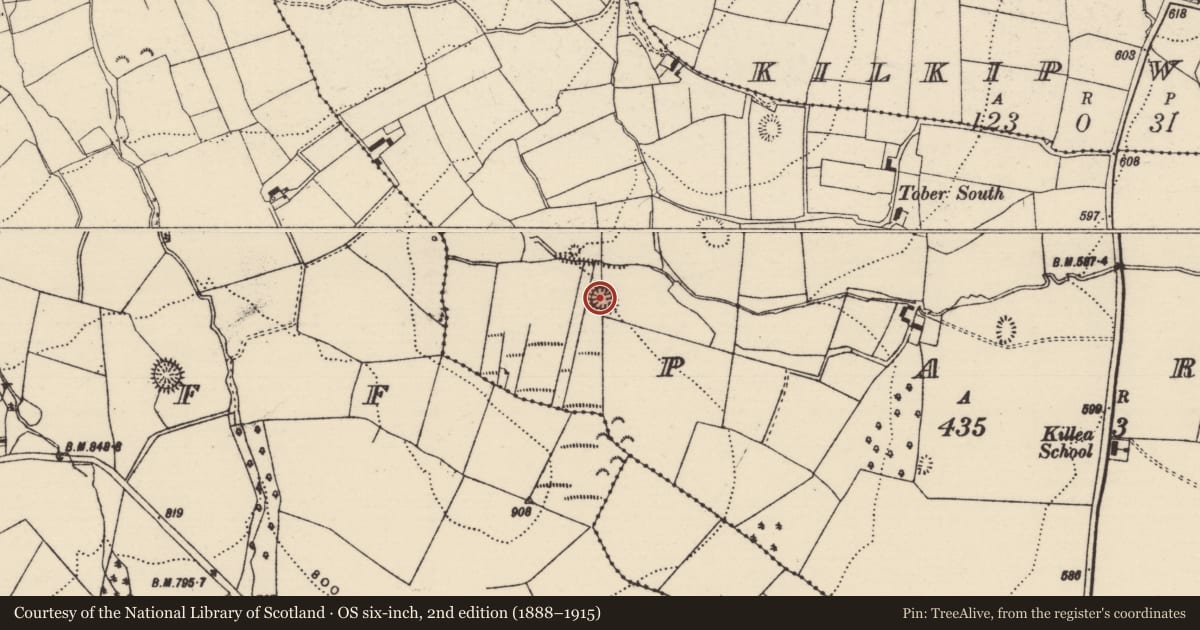 Ordnance Survey six-inch map, 2nd edition (1888–1915) covering the location of Ringfort - rath, Park (Killea Par.), County Tipperary North, with a pin at the register's coordinates