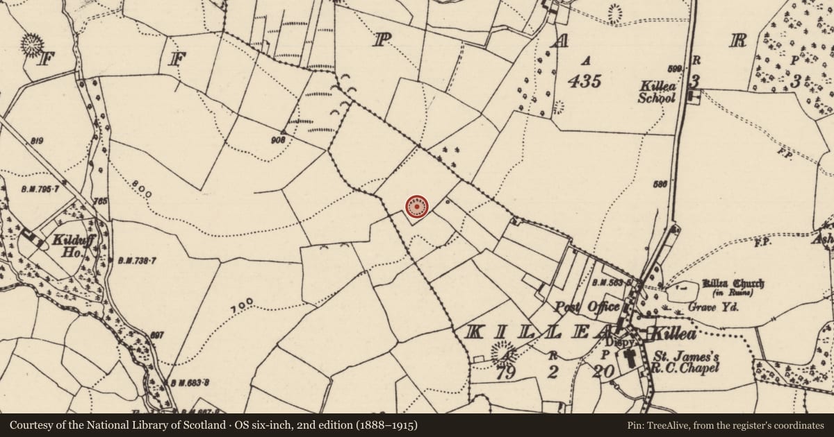 Ordnance Survey six-inch map, 2nd edition (1888–1915) covering the location of Enclosure, Killea (Killea Par.), County Tipperary North, with a pin at the register's coordinates