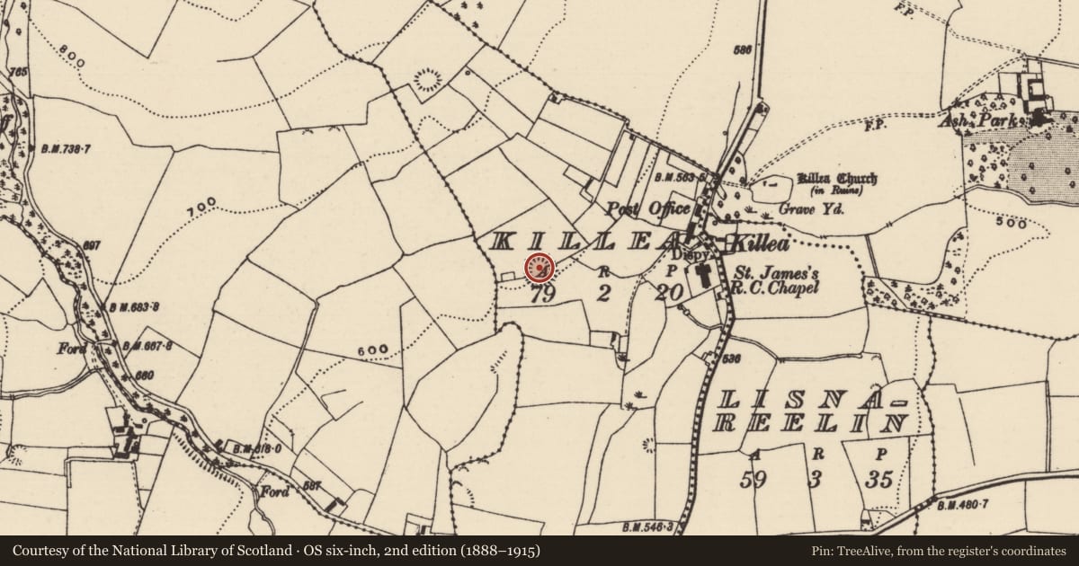 Ordnance Survey six-inch map, 2nd edition (1888–1915) covering the location of Ringfort - rath, Killea (Killea Par.), County Tipperary North, with a pin at the register's coordinates