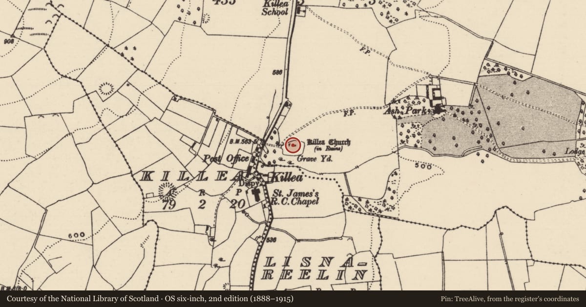 Ordnance Survey six-inch map, 2nd edition (1888–1915) covering the location of Church, Park (Killea Par.), County Tipperary North, with a pin at the register's coordinates