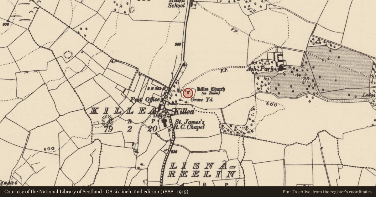 Ordnance Survey six-inch map, 2nd edition (1888–1915) covering the location of Bullaun stone, Park (Killea Par.), County Tipperary North, with a pin at the register's coordinates