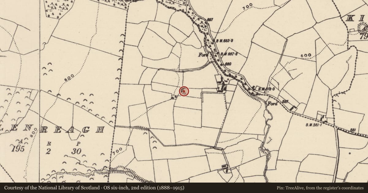Ordnance Survey six-inch map, 2nd edition (1888–1915) covering the location of Enclosure, Killawardy (Killea Par.), County Tipperary North, with a pin at the register's coordinates