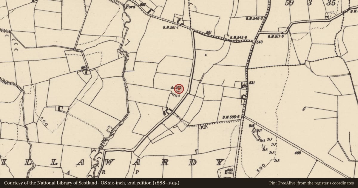 Ordnance Survey six-inch map, 2nd edition (1888–1915) covering the location of Enclosure, Killawardy (Killea Par.), County Tipperary North, with a pin at the register's coordinates