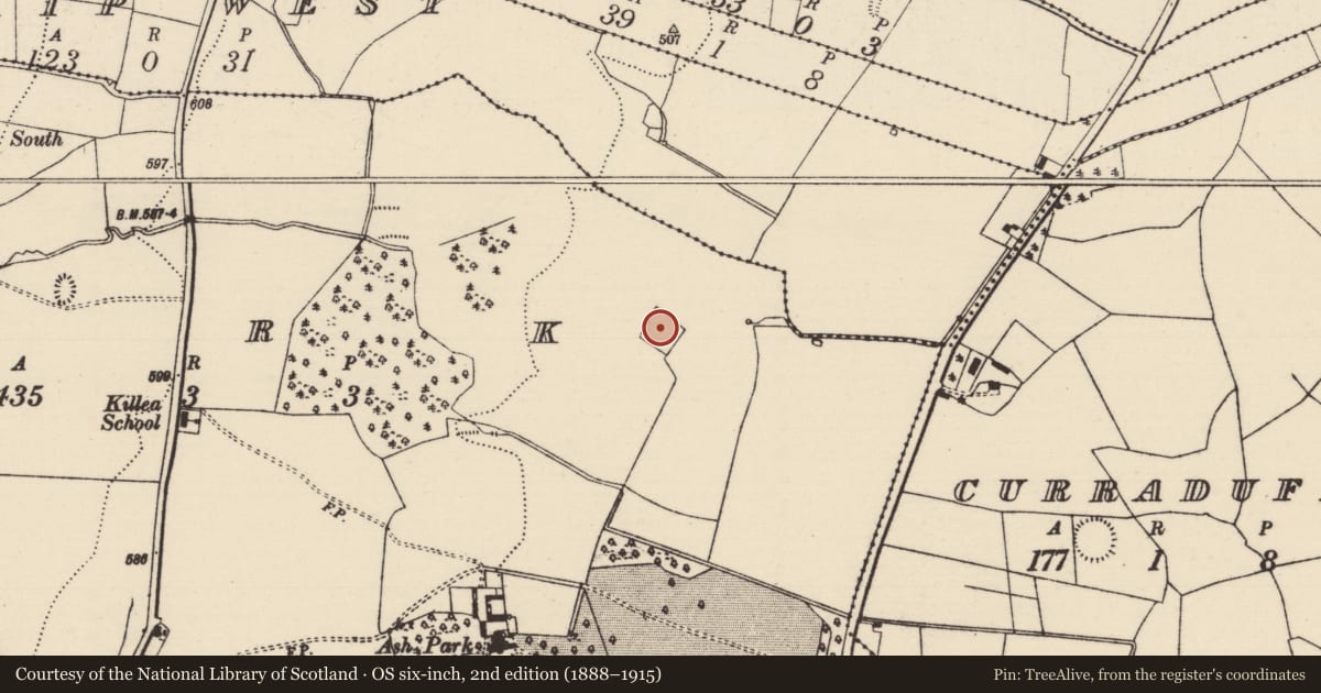 Ordnance Survey six-inch map, 2nd edition (1888–1915) covering the location of Moated site, Park (Killea Par.), County Tipperary North, with a pin at the register's coordinates