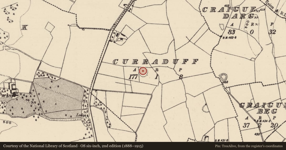 Ordnance Survey six-inch map, 2nd edition (1888–1915) covering the location of Enclosure, Curraduff, County Tipperary North, with a pin at the register's coordinates