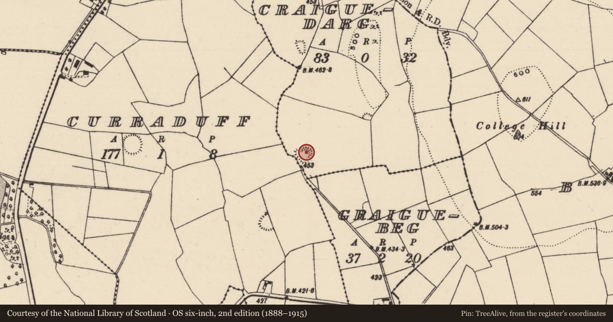 Ordnance Survey six-inch map, 2nd edition (1888–1915) covering the location of Ringfort - rath, Craiguedarg, Curraduff, County Tipperary North, with a pin at the register's coordinates