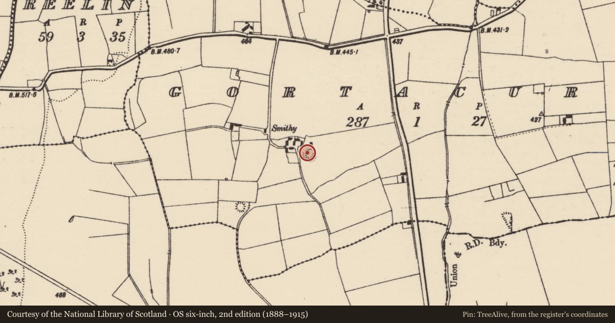 Ordnance Survey six-inch map, 2nd edition (1888–1915) covering the location of Ringfort - rath, Gortacurra, County Tipperary North, with a pin at the register's coordinates