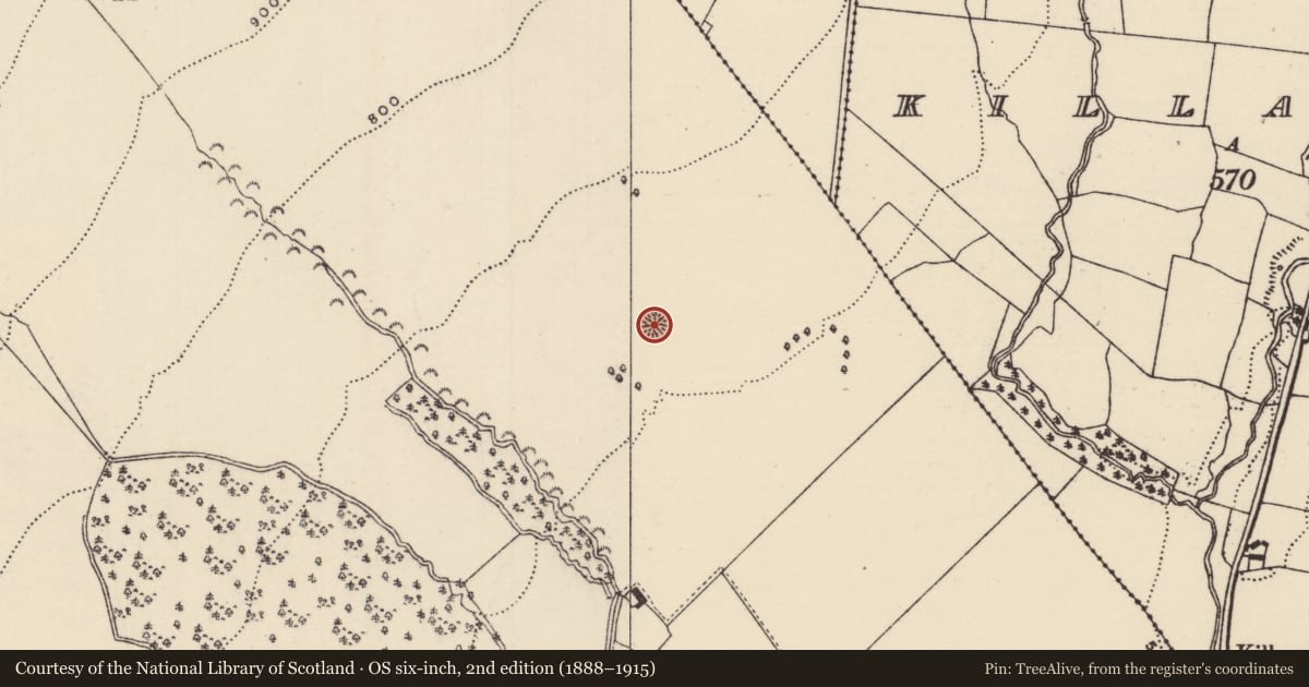 Ordnance Survey six-inch map, 2nd edition (1888–1915) covering the location of Enclosure, Barnane (Barnane-ely Par.), County Tipperary North, with a pin at the register's coordinates