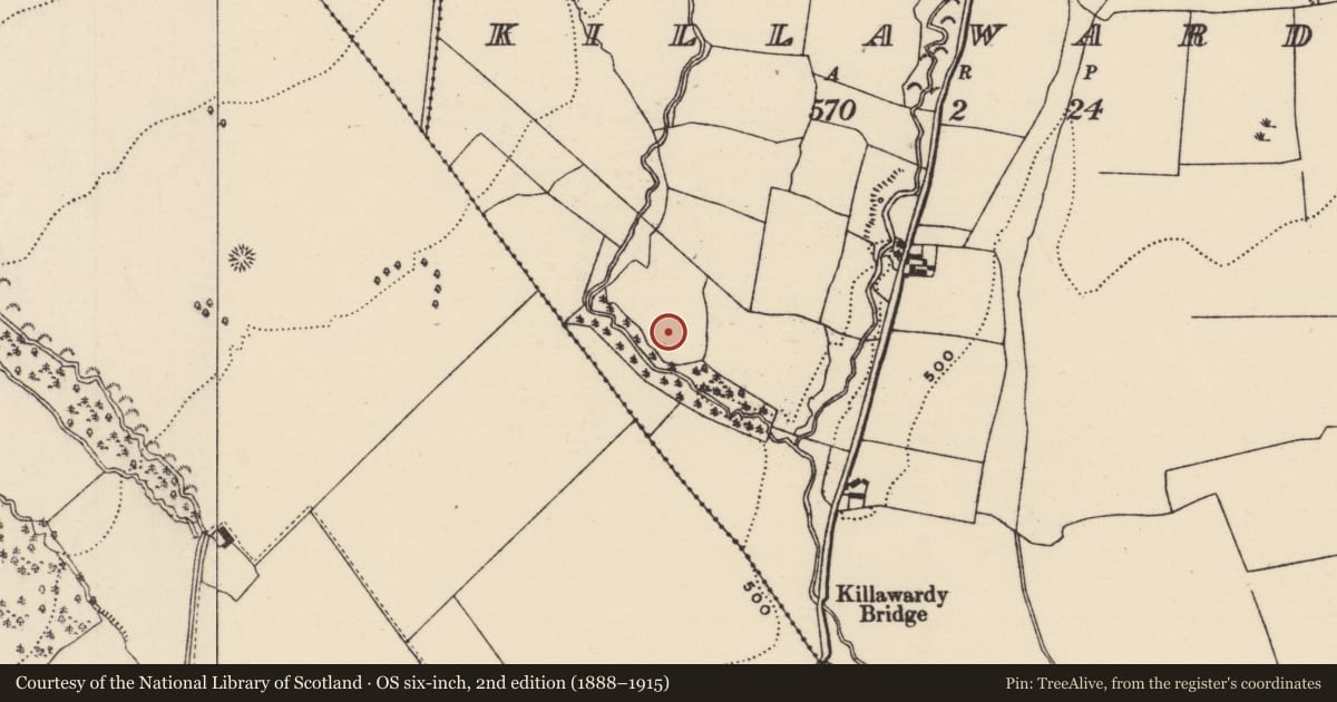 Ordnance Survey six-inch map, 2nd edition (1888–1915) covering the location of Church, Killawardy (Killea Par.), County Tipperary North, with a pin at the register's coordinates
