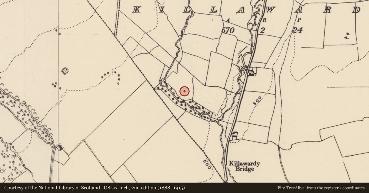 Ordnance Survey six-inch map, 2nd edition (1888–1915) covering the location of Burial ground, Killawardy (Killea Par.), County Tipperary North, with a pin at the register's coordinates