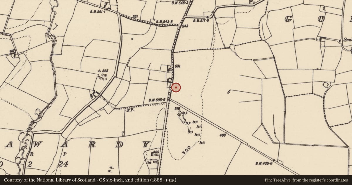 Ordnance Survey six-inch map, 2nd edition (1888–1915) covering the location of Enclosure, Lloydsborough (Killea Par.), County Tipperary North, with a pin at the register's coordinates