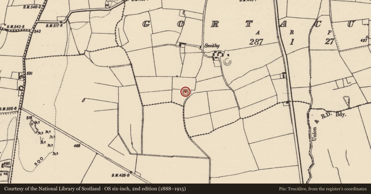 Ordnance Survey six-inch map, 2nd edition (1888–1915) covering the location of Ringfort - rath, Gortacurra, County Tipperary North, with a pin at the register's coordinates