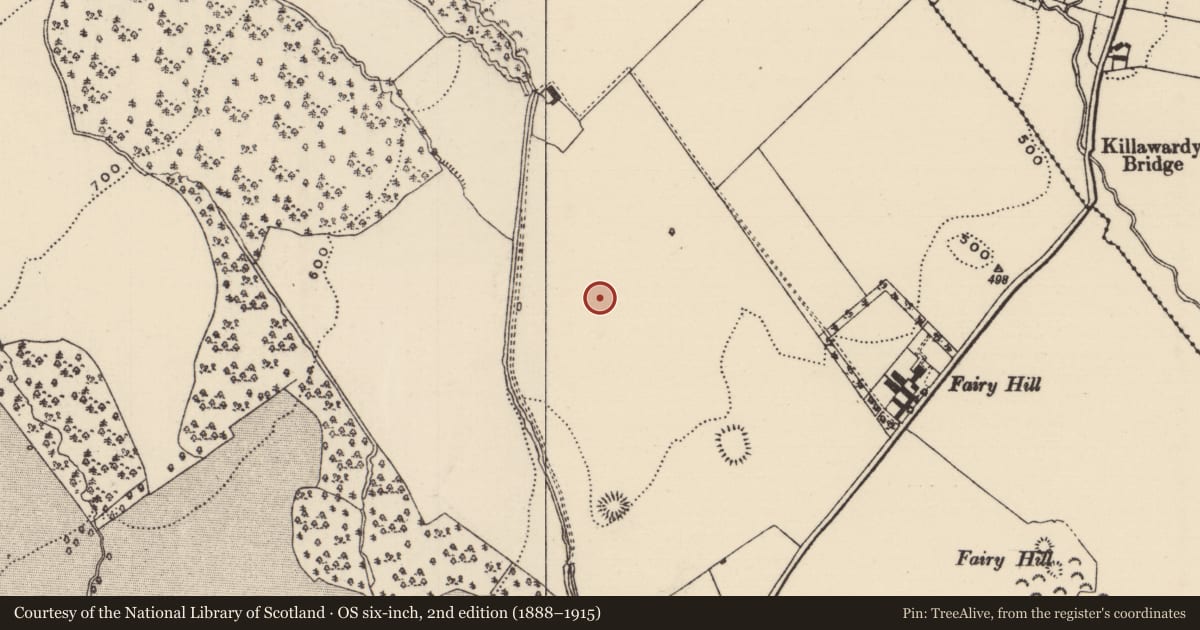 Ordnance Survey six-inch map, 2nd edition (1888–1915) covering the location of Designed landscape - folly, Barnane (Barnane-ely Par.), County Tipperary North, with a pin at the register's coordinates