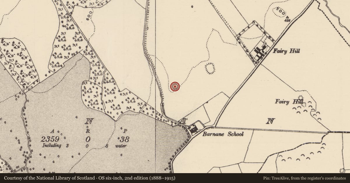 Ordnance Survey six-inch map, 2nd edition (1888–1915) covering the location of Ringfort - rath, Barnane (Barnane-ely Par.), County Tipperary North, with a pin at the register's coordinates