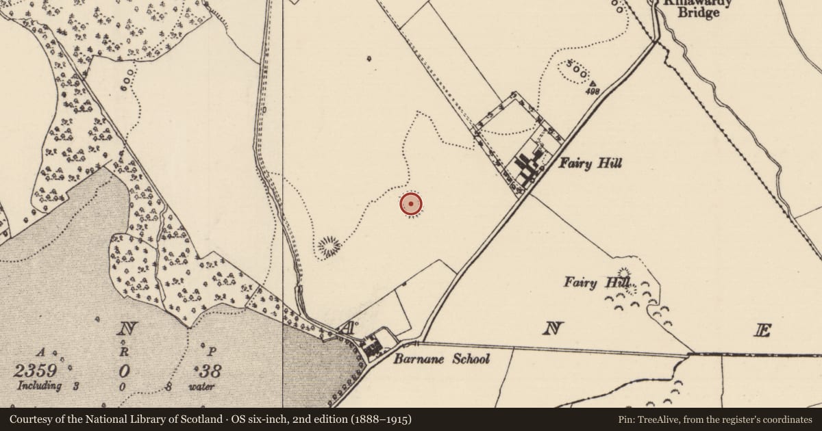 Ordnance Survey six-inch map, 2nd edition (1888–1915) covering the location of Ringfort - rath, Barnane (Barnane-ely Par.), County Tipperary North, with a pin at the register's coordinates