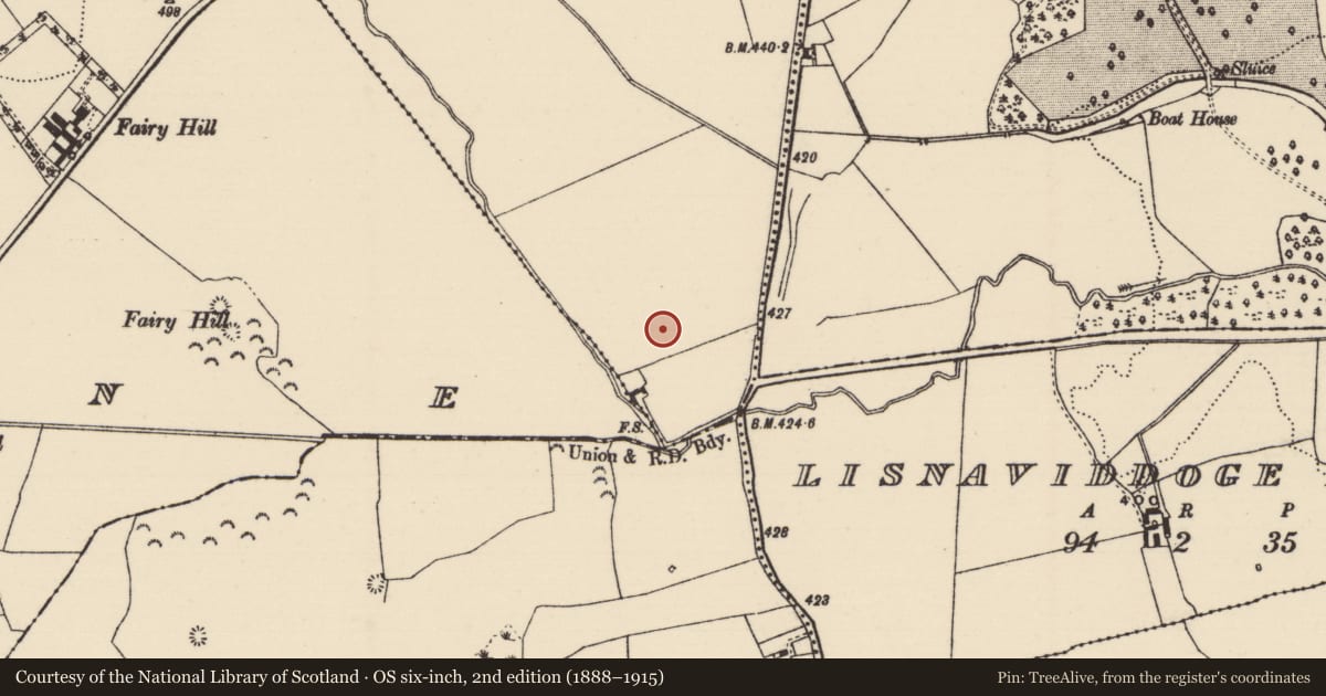 Ordnance Survey six-inch map, 2nd edition (1888–1915) covering the location of Boulder-burial, Killawardy (Killea Par.), County Tipperary North, with a pin at the register's coordinates