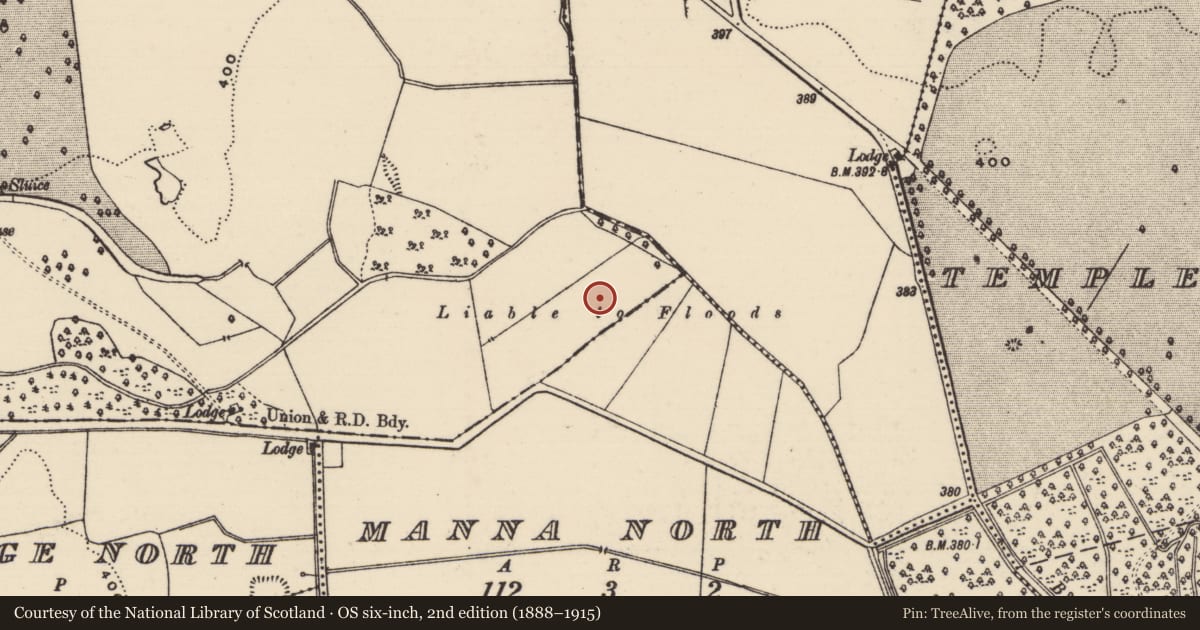 Ordnance Survey six-inch map, 2nd edition (1888–1915) covering the location of Mound, Lloydsborough (Killea Par.), County Tipperary North, with a pin at the register's coordinates