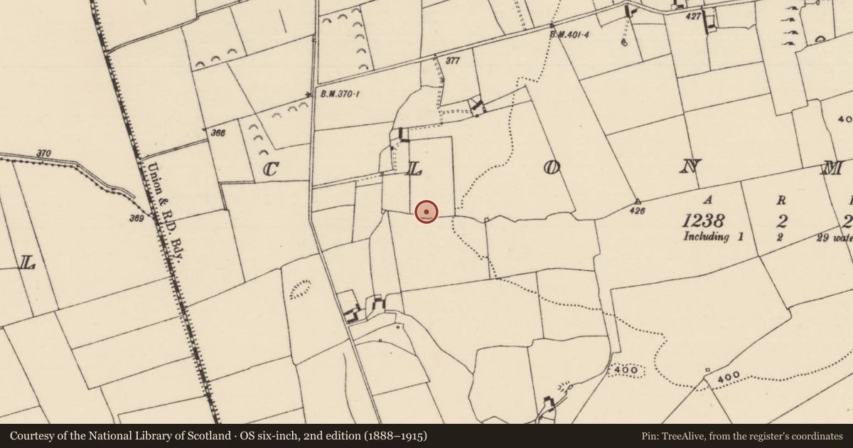 Ordnance Survey six-inch map, 2nd edition (1888–1915) covering the location of Earthwork, Clonmore (Killavinoge Par.), County Tipperary North, with a pin at the register's coordinates