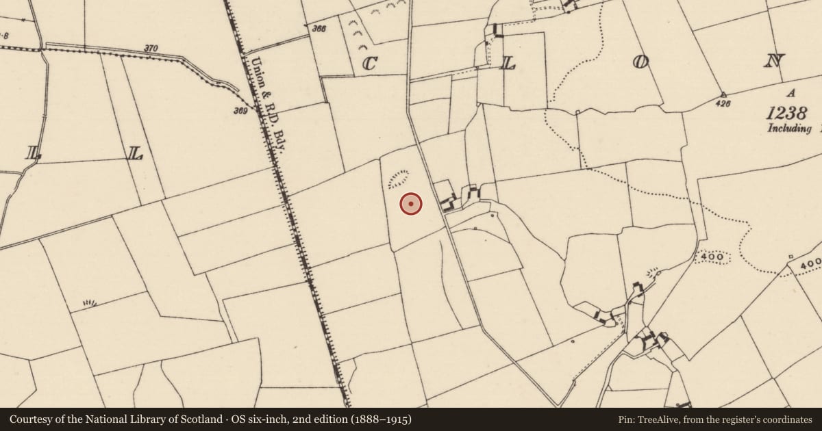 Ordnance Survey six-inch map, 2nd edition (1888–1915) covering the location of Enclosure, Clonmore (Killavinoge Par.), County Tipperary North, with a pin at the register's coordinates