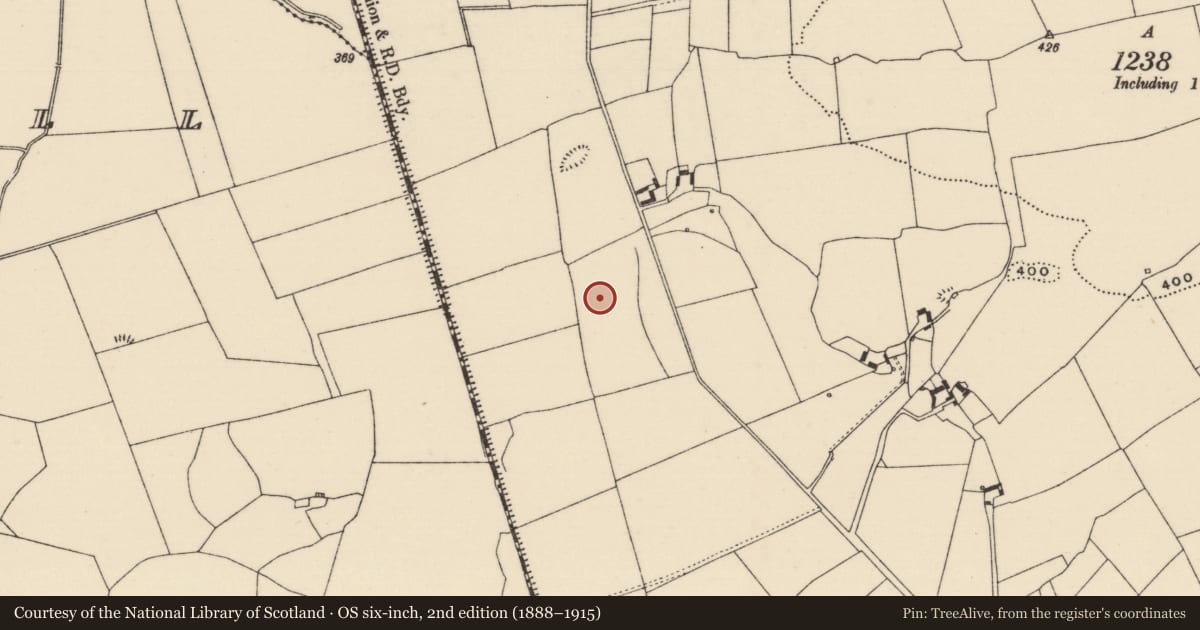 Ordnance Survey six-inch map, 2nd edition (1888–1915) covering the location of Enclosure, Clonmore (Killavinoge Par.), County Tipperary North, with a pin at the register's coordinates