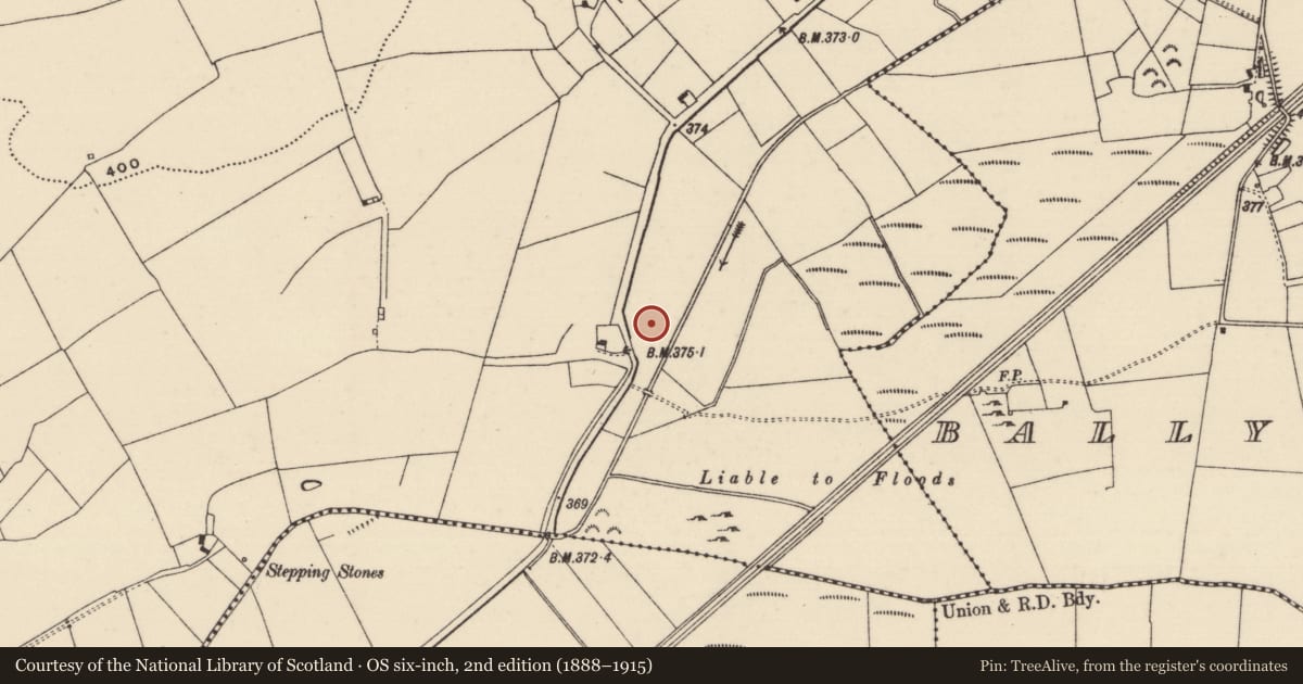 Ordnance Survey six-inch map, 2nd edition (1888–1915) covering the location of Earthwork, Clonmore (Killavinoge Par.), County Tipperary North, with a pin at the register's coordinates