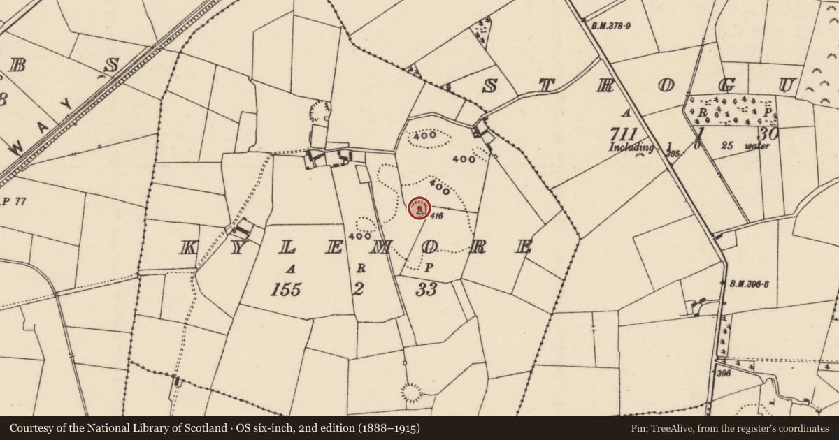 Ordnance Survey six-inch map, 2nd edition (1888–1915) covering the location of Ringfort - rath, Kylemore, County Tipperary North, with a pin at the register's coordinates