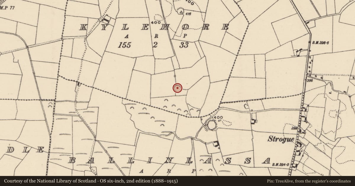 Ordnance Survey six-inch map, 2nd edition (1888–1915) covering the location of Enclosure, Kylemore, County Tipperary North, with a pin at the register's coordinates