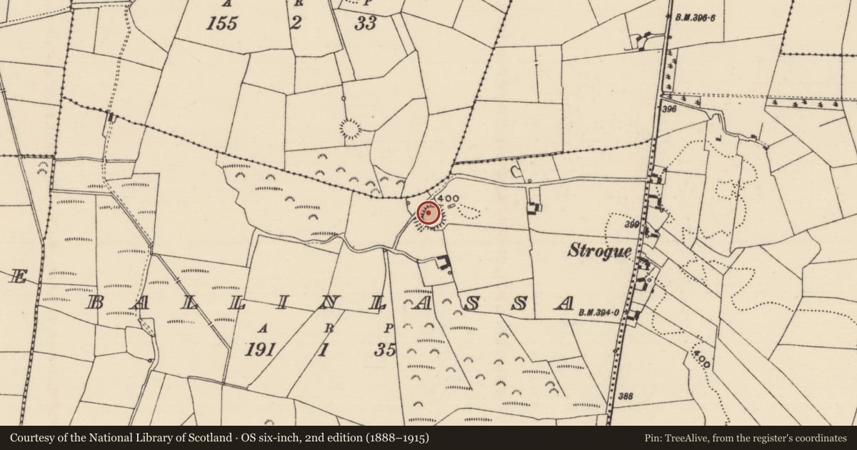 Ordnance Survey six-inch map, 2nd edition (1888–1915) covering the location of Ringfort - rath, Ballinlassa, County Tipperary North, with a pin at the register's coordinates