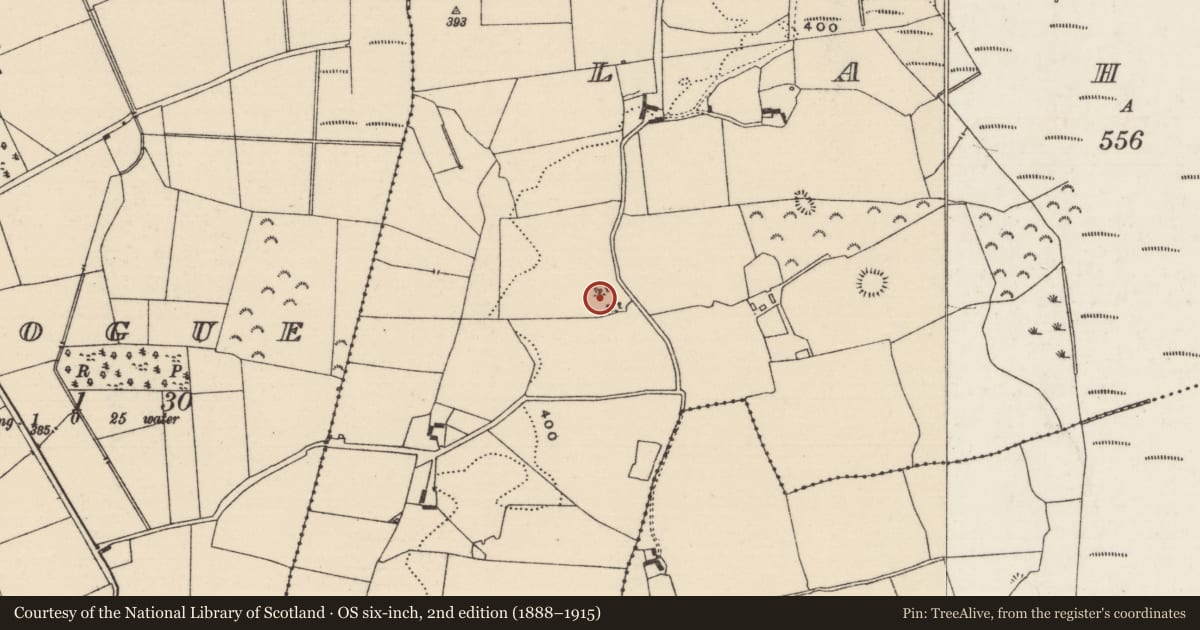 Ordnance Survey six-inch map, 2nd edition (1888–1915) covering the location of Earthwork, Lahagh, County Tipperary North, with a pin at the register's coordinates