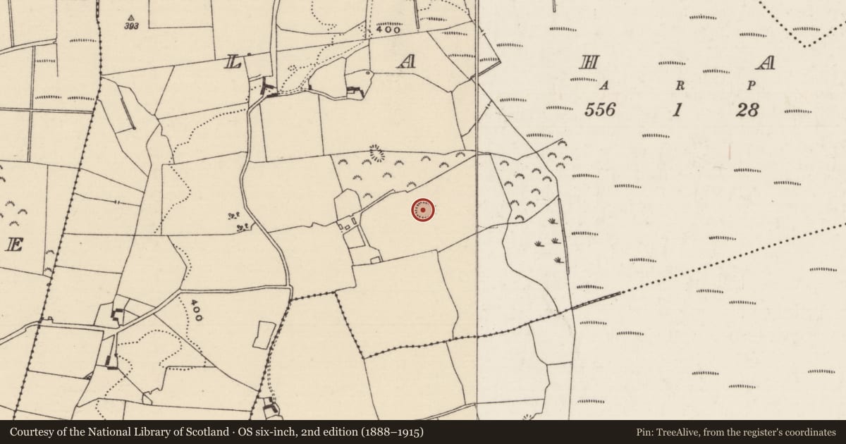 Ordnance Survey six-inch map, 2nd edition (1888–1915) covering the location of Ringfort - rath, Lahagh, County Tipperary North, with a pin at the register's coordinates
