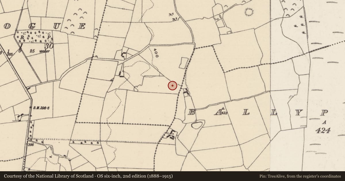 Ordnance Survey six-inch map, 2nd edition (1888–1915) covering the location of Earthwork, Lahagh, County Tipperary North, with a pin at the register's coordinates