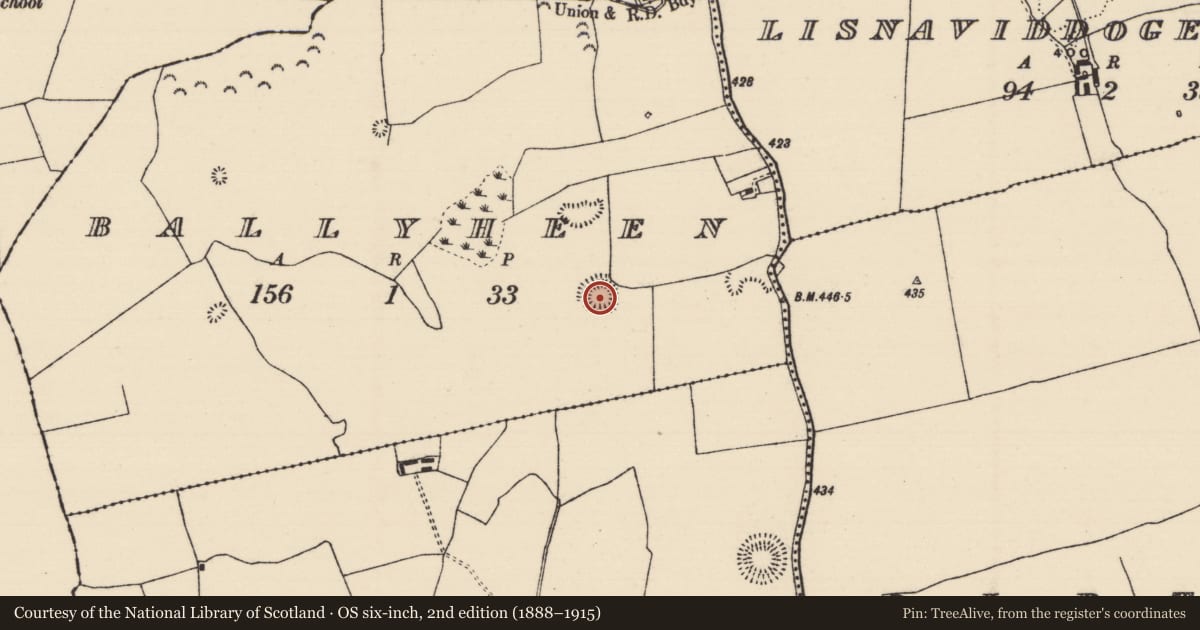 Ordnance Survey six-inch map, 2nd edition (1888–1915) covering the location of Enclosure, Ballyheen, County Tipperary North, with a pin at the register's coordinates