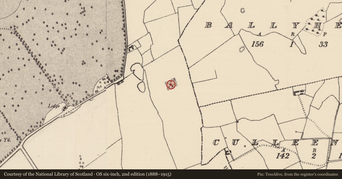 Ordnance Survey six-inch map, 2nd edition (1888–1915) covering the location of Moated site, Barnane (Barnane-ely Par.), County Tipperary North, with a pin at the register's coordinates